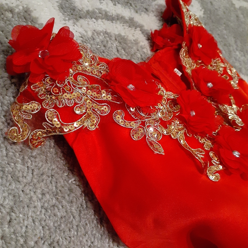 Stunning Christmas/New Year's Girl's Party Dress